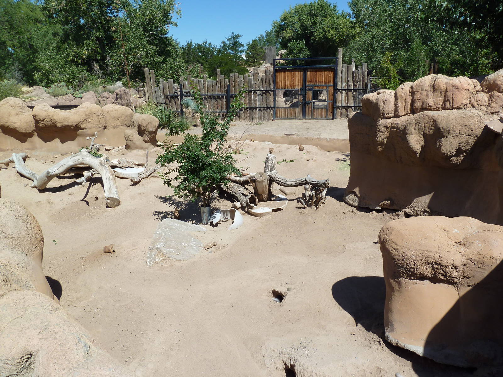 Prairie Dog Exhibit