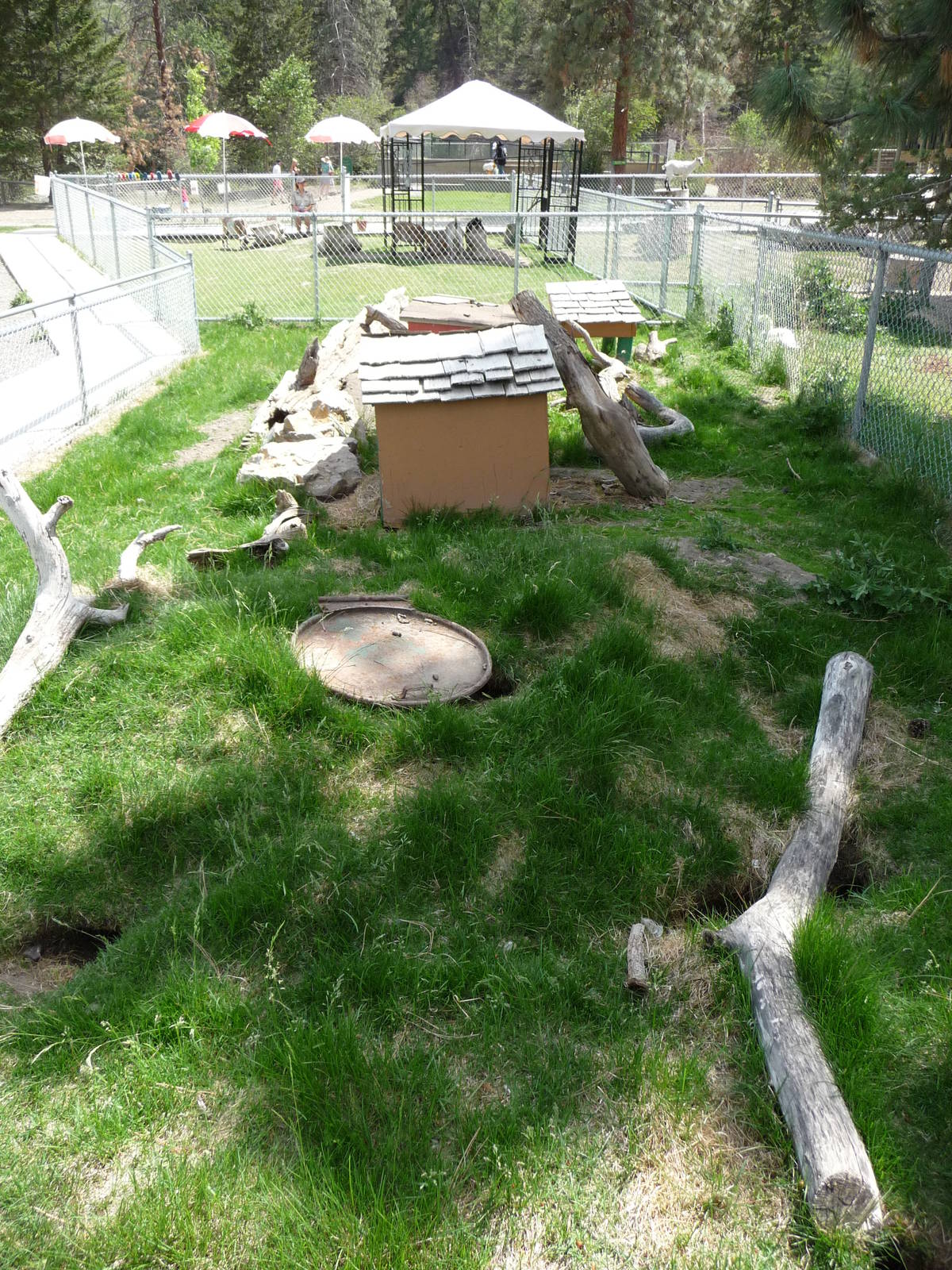 Prairie Dog Exhibit