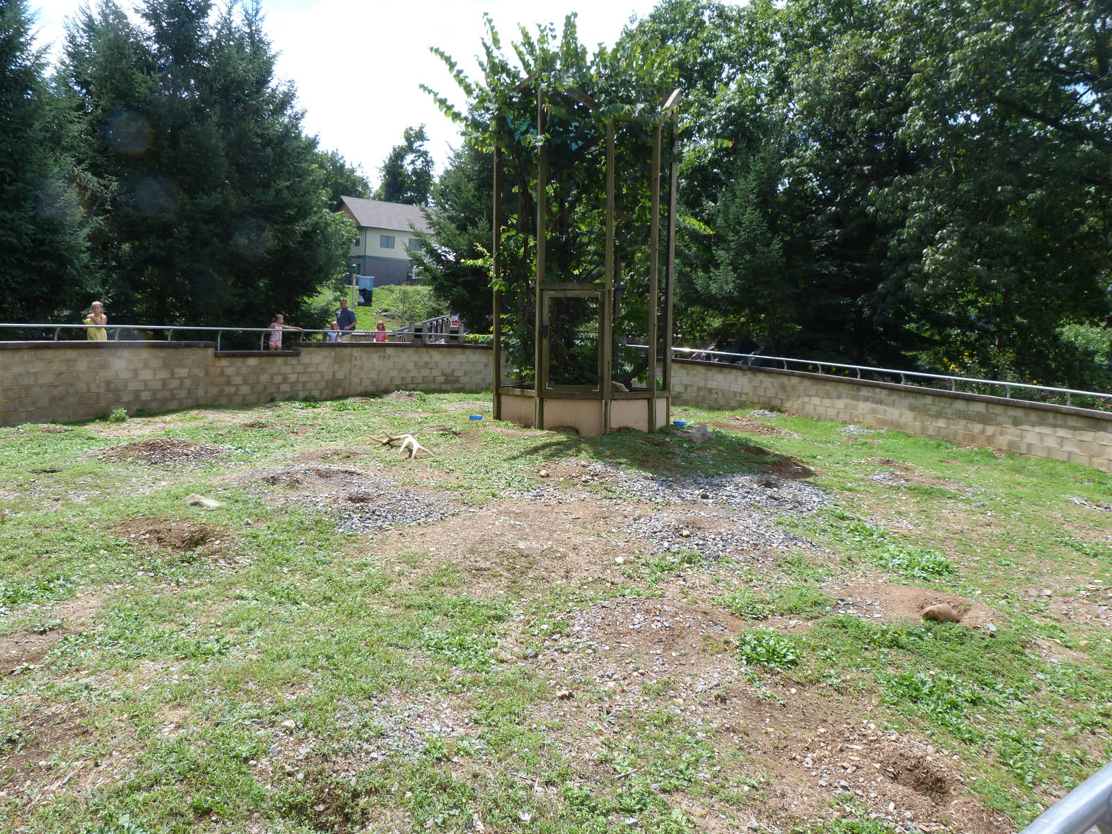 Prairie Dog Exhibit