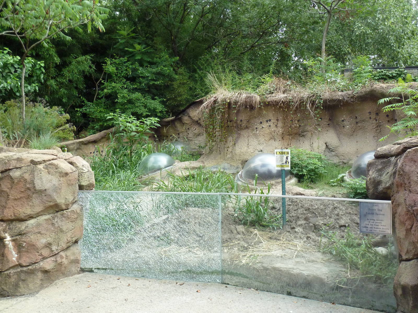 Prairie Dog Exhibit