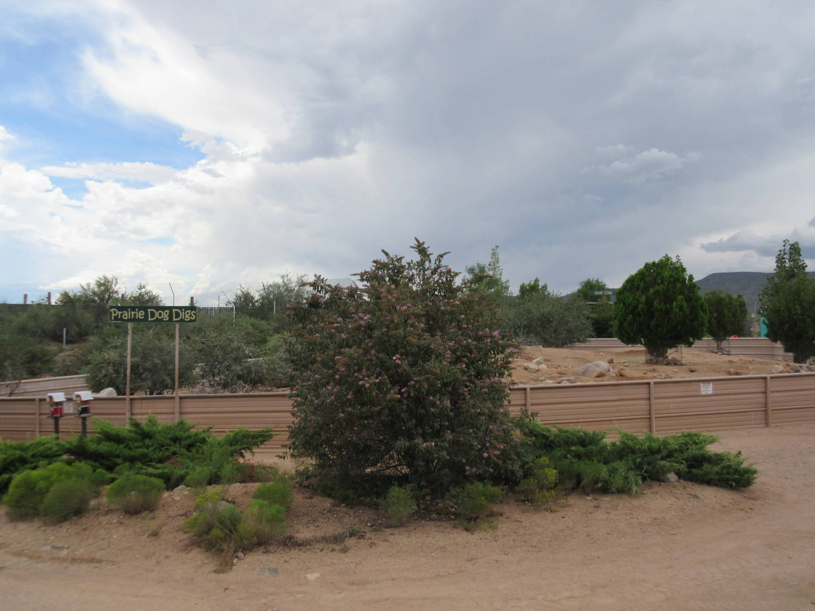 Prairie Dog Exhibit