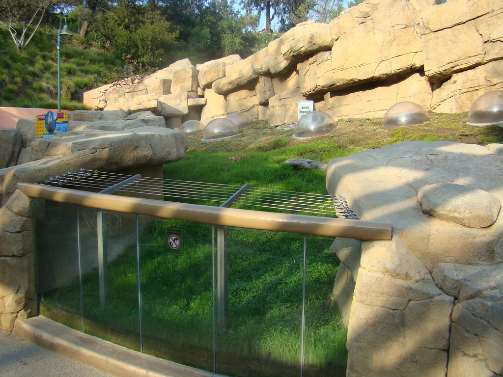 Prairie Dog exhibit