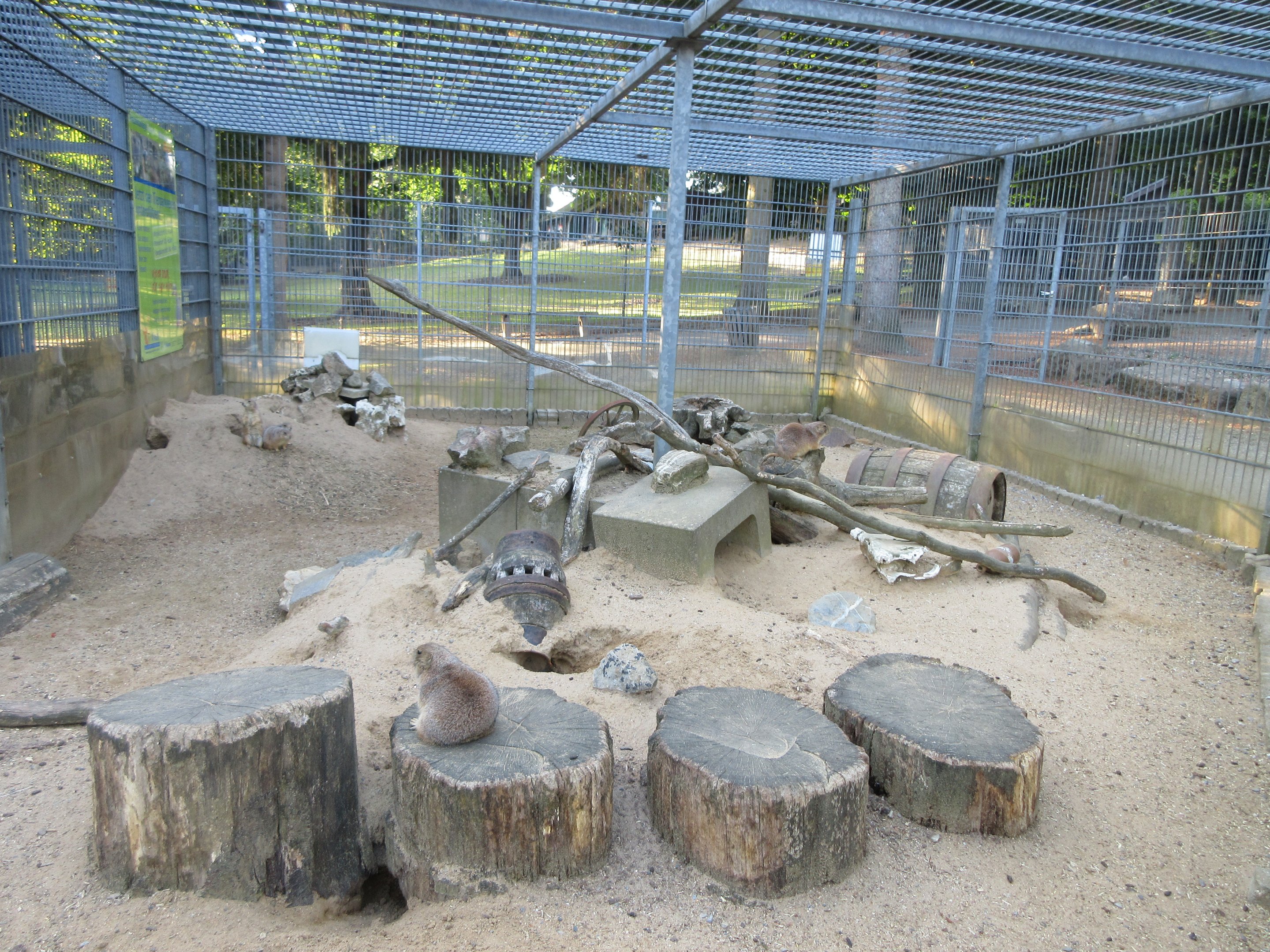 Prairie Dog Exhibit