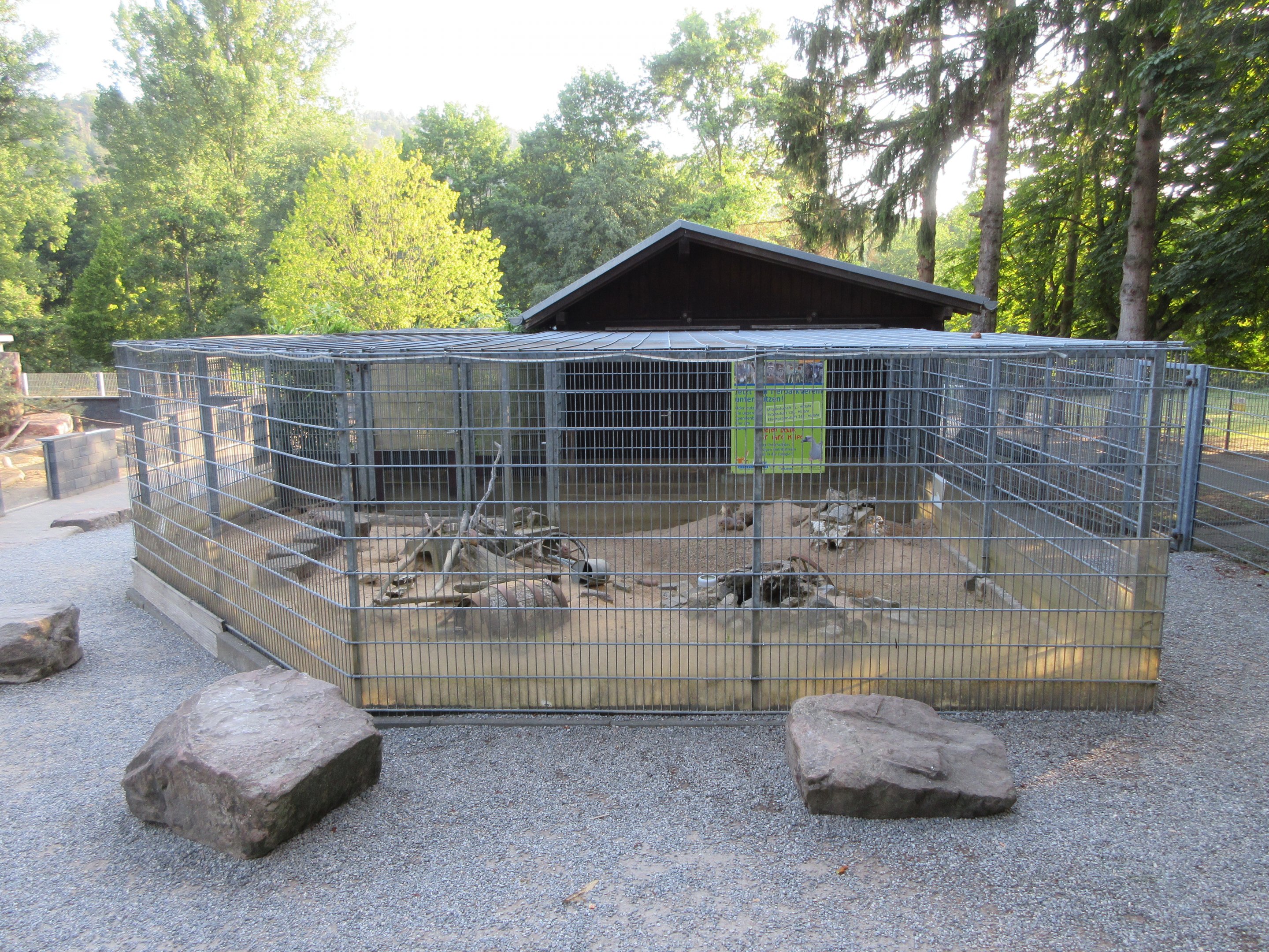 Prairie Dog Exhibit