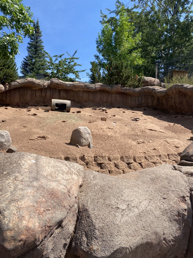 Prairie dog exhibit