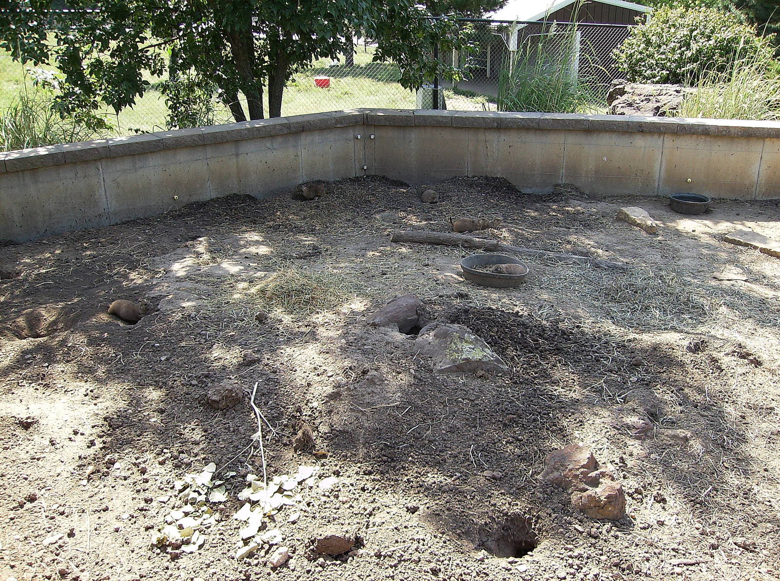 Prairie Dog exhibit