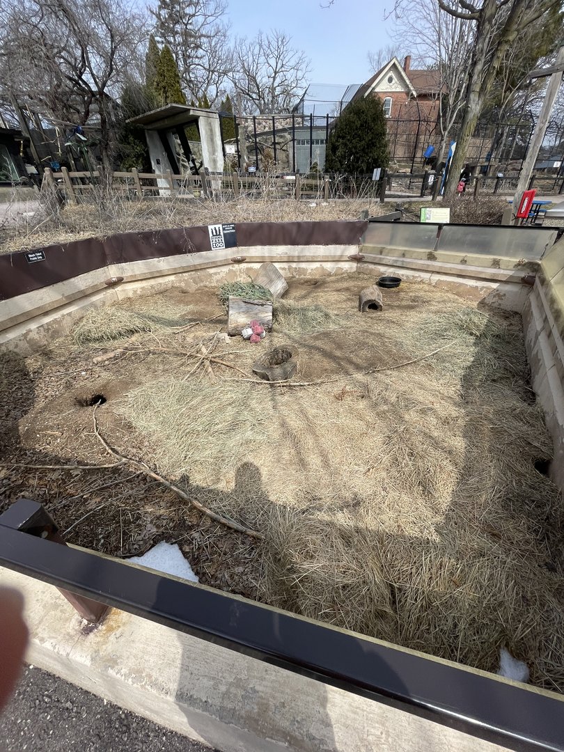 Prairie Dog Exhibit