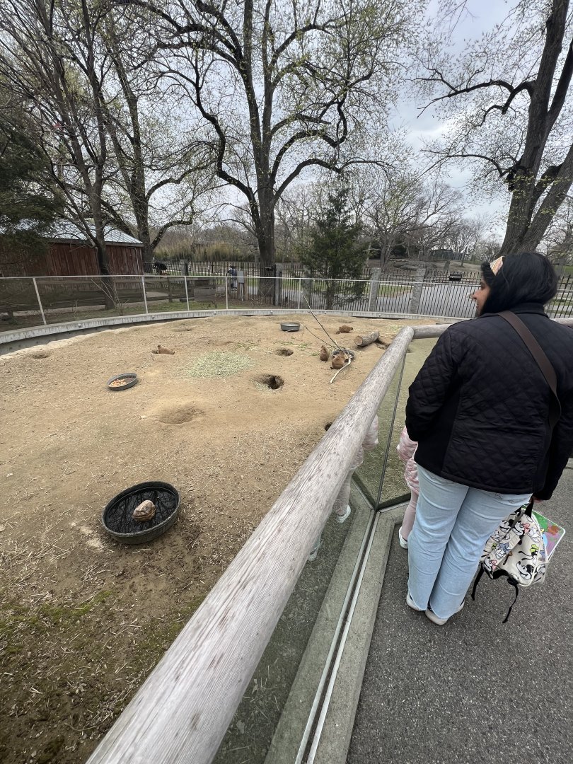 Prairie Dog Exhibit
