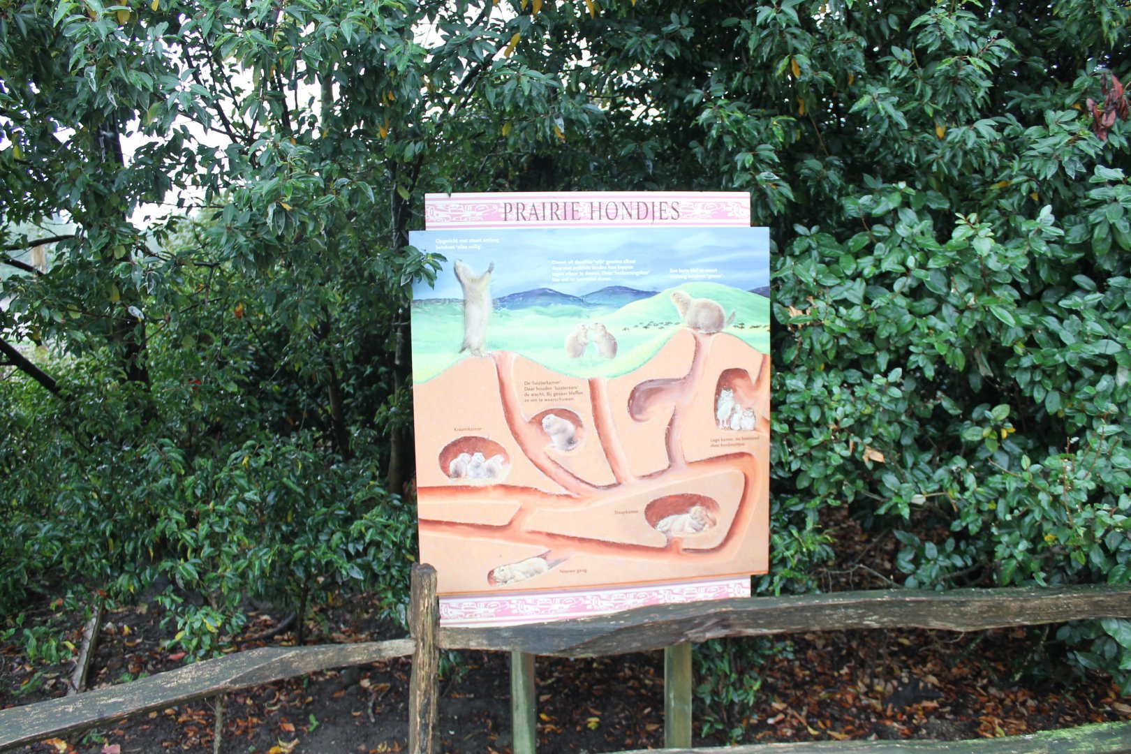 Prairie dog-info sign