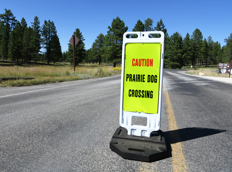 prairie dog road warning sign