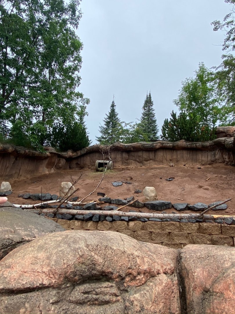 Prairie dog row- black tailed prairie dog exhibit
