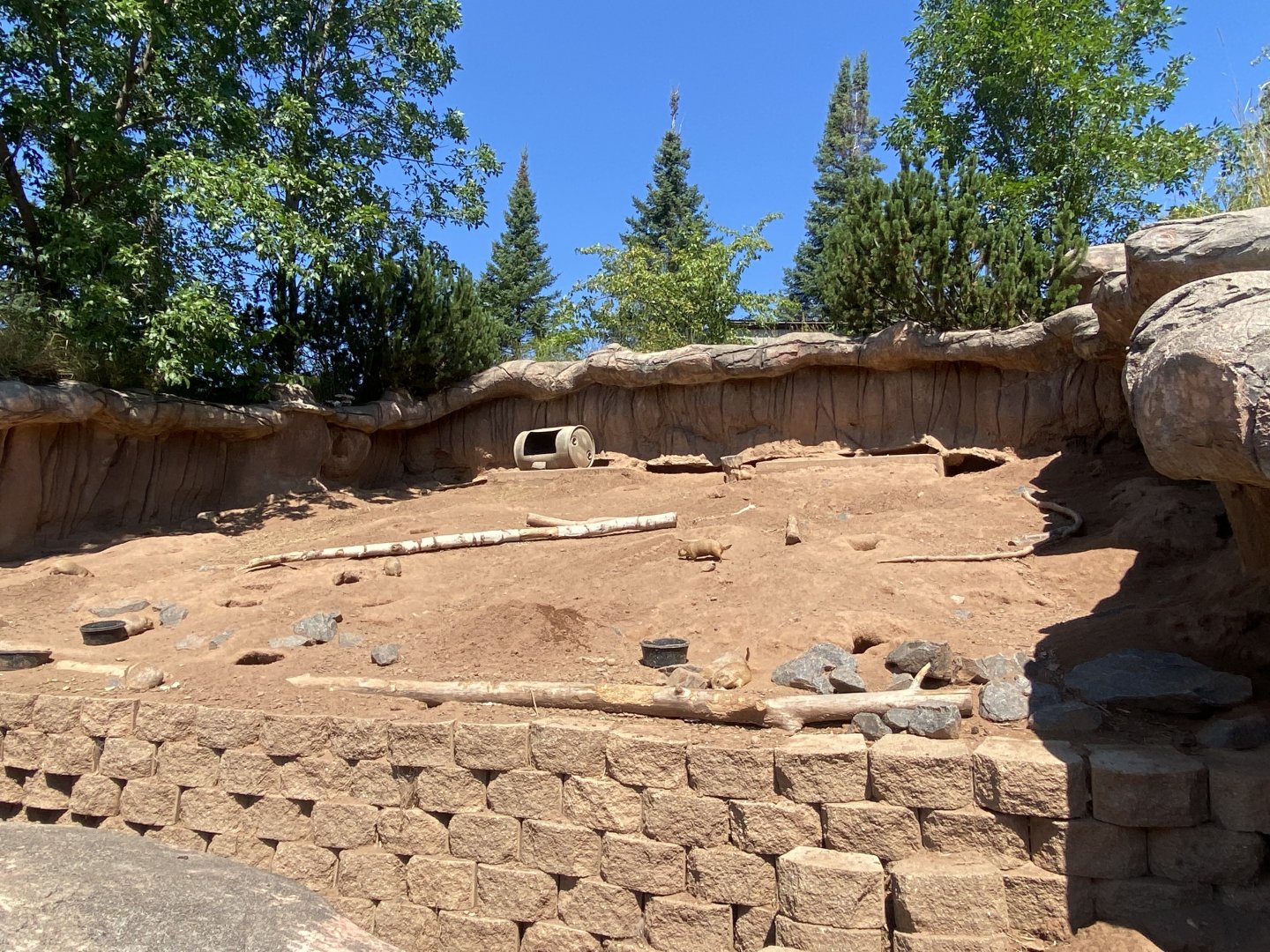 Prairie Dog Row - Black-Tailed Prairie Dog Exhibit