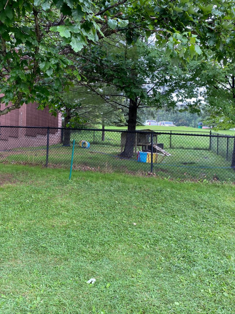 Prairie dog row- Flemish giant rabbit exhibit