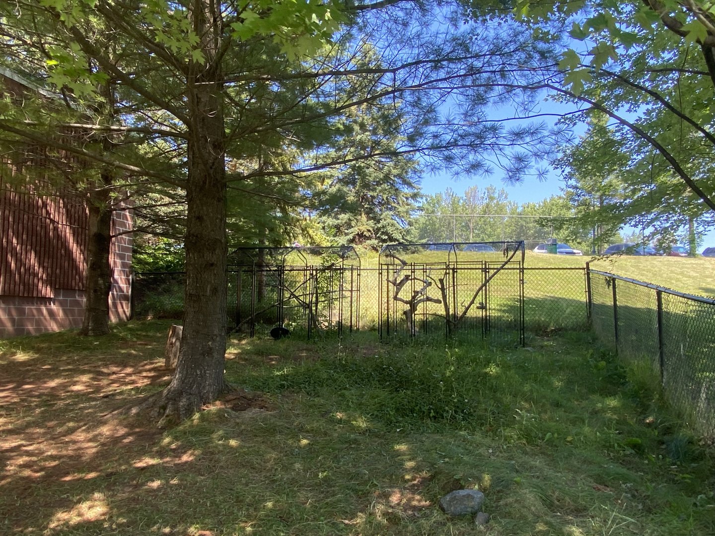Prairie Dog Row - Outdoor Macaw Cages