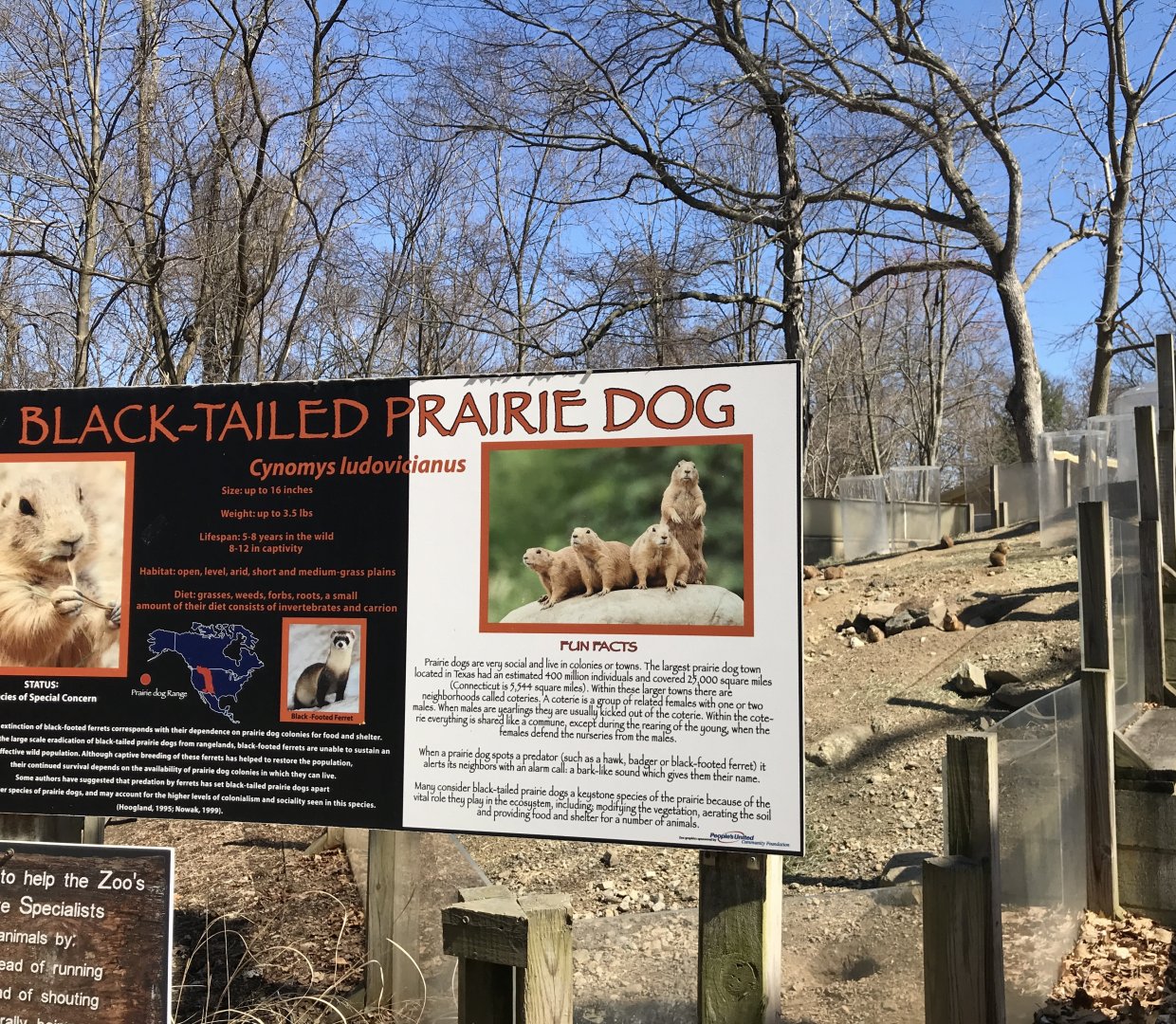 Prairie Dog Sign