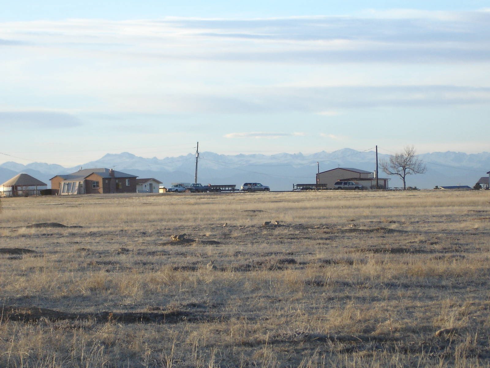 Prairie Dogs and homes surrounding the center