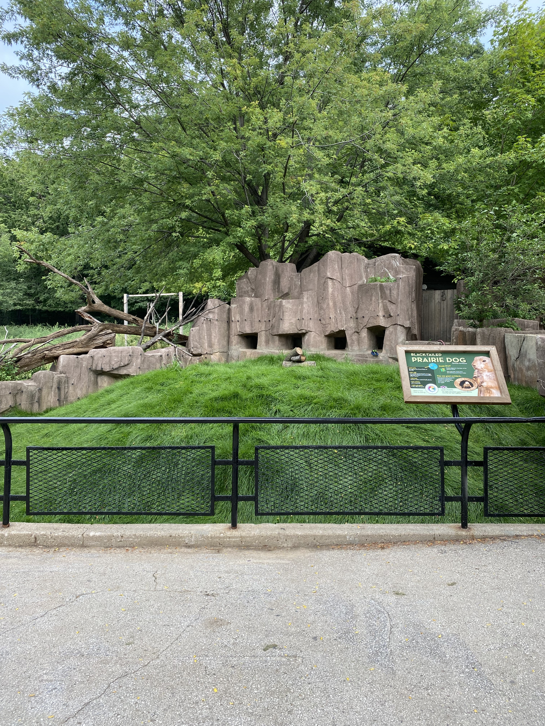 Prairie Dogs Renovated home