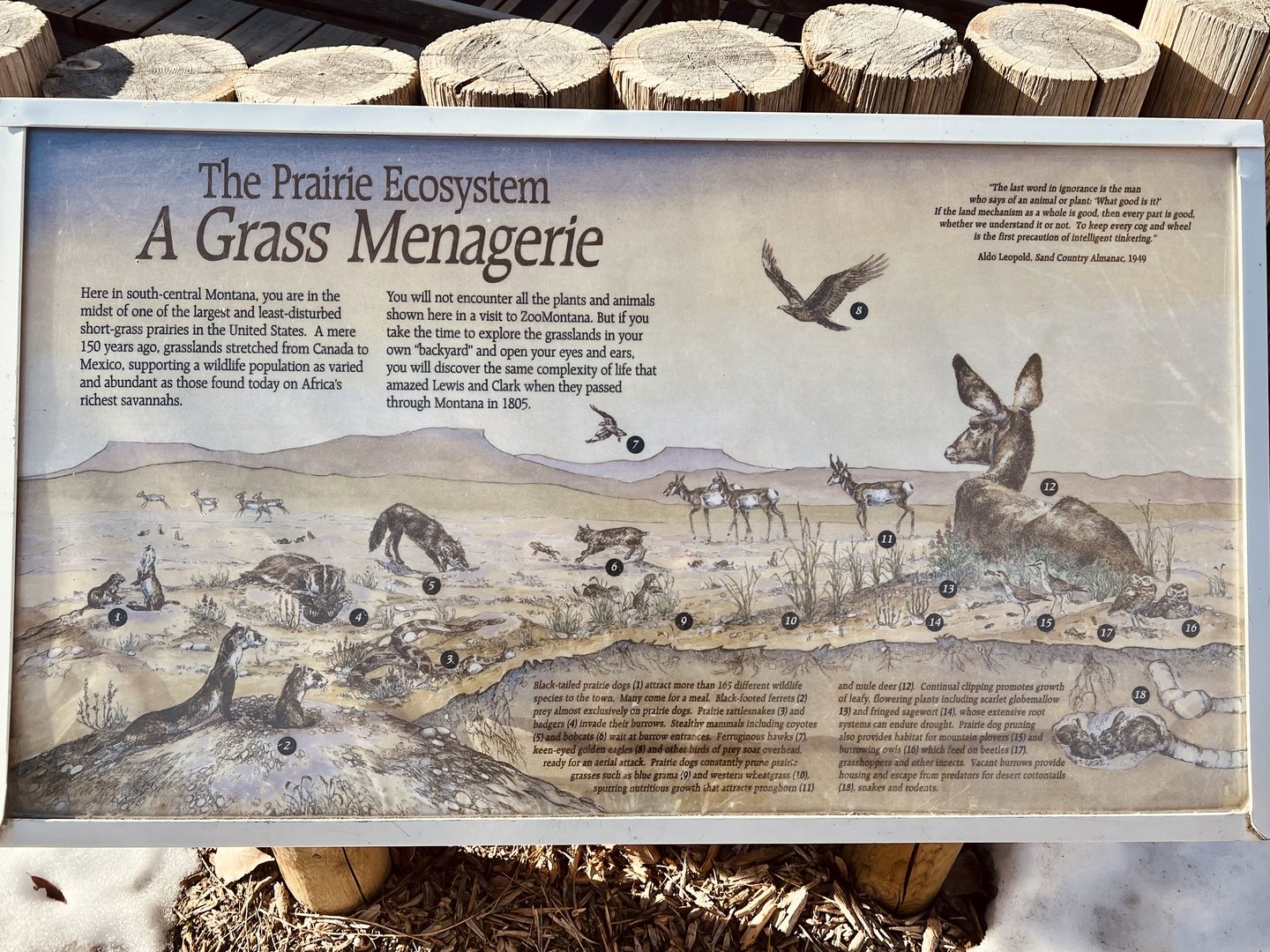 Prairie Ecosystem Sign