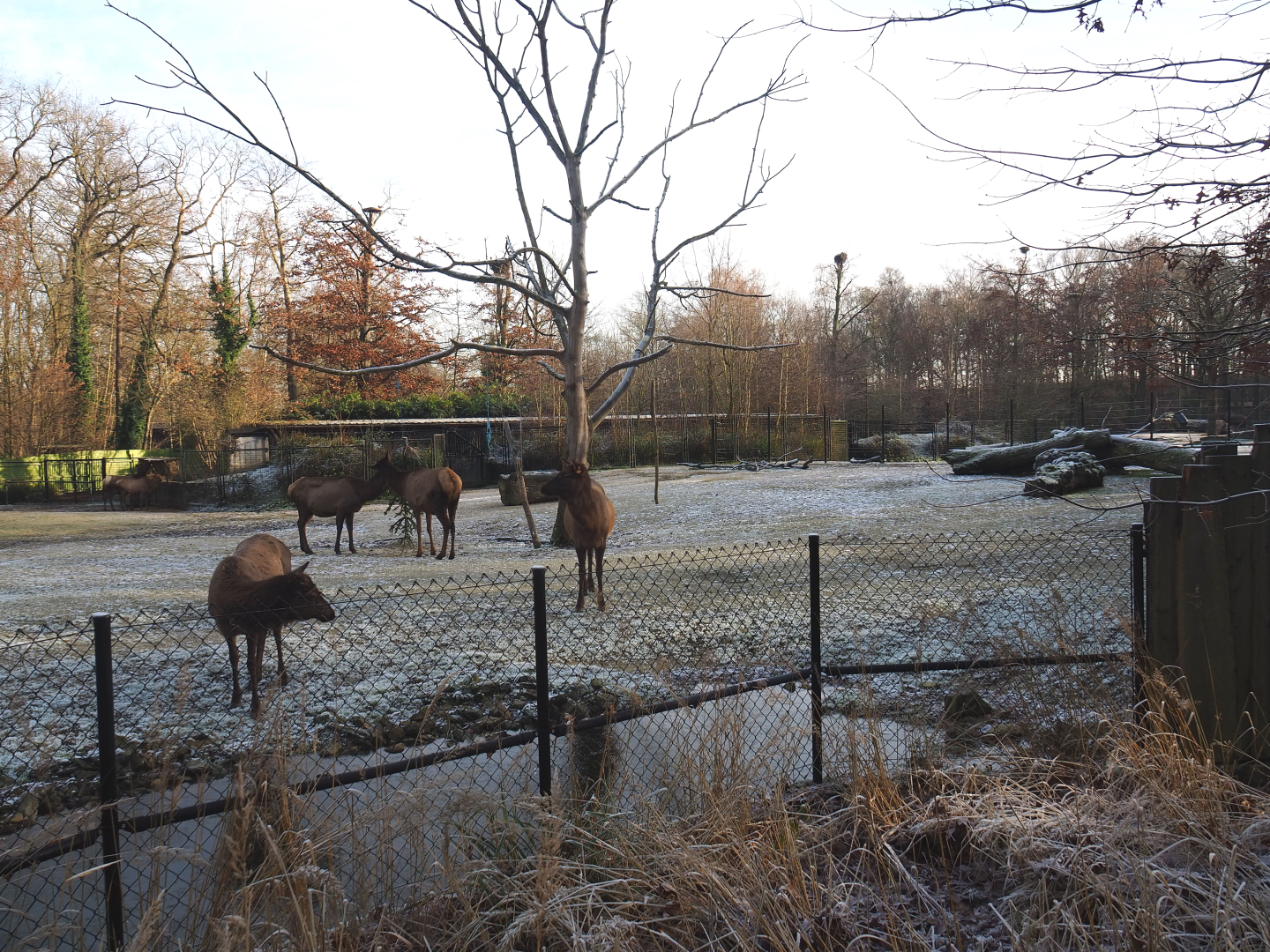 Prairie exhibit, 2021-12-22