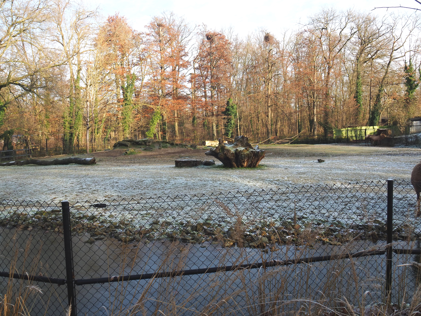 Prairie exhibit, 2021-12-22