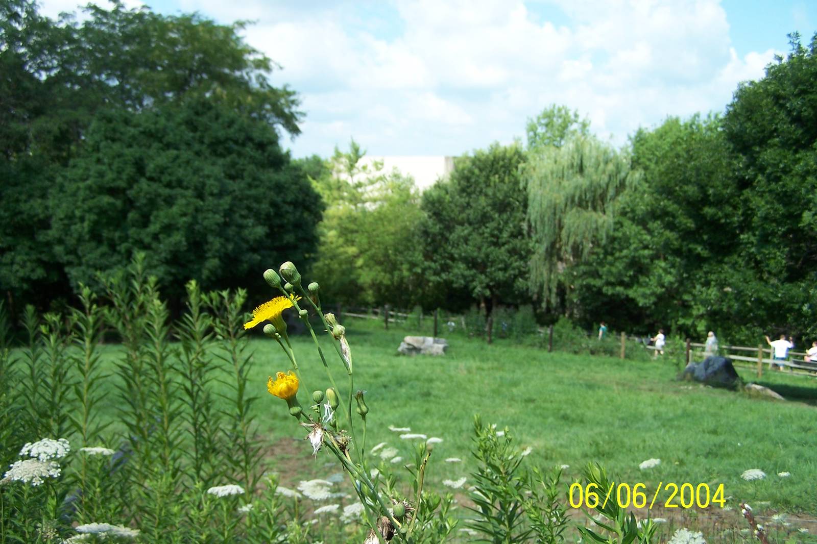Prairie Exhibit ~ North America