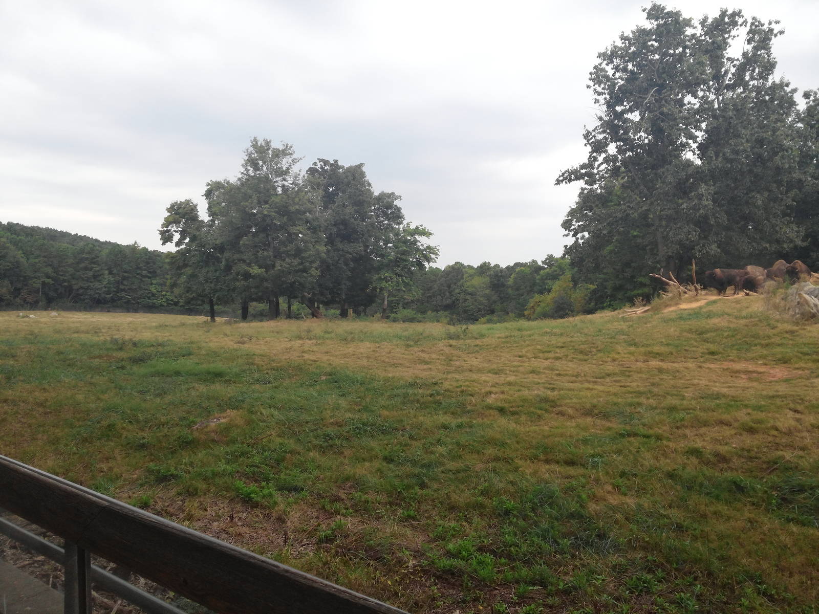 Prairie - Exhibit View
