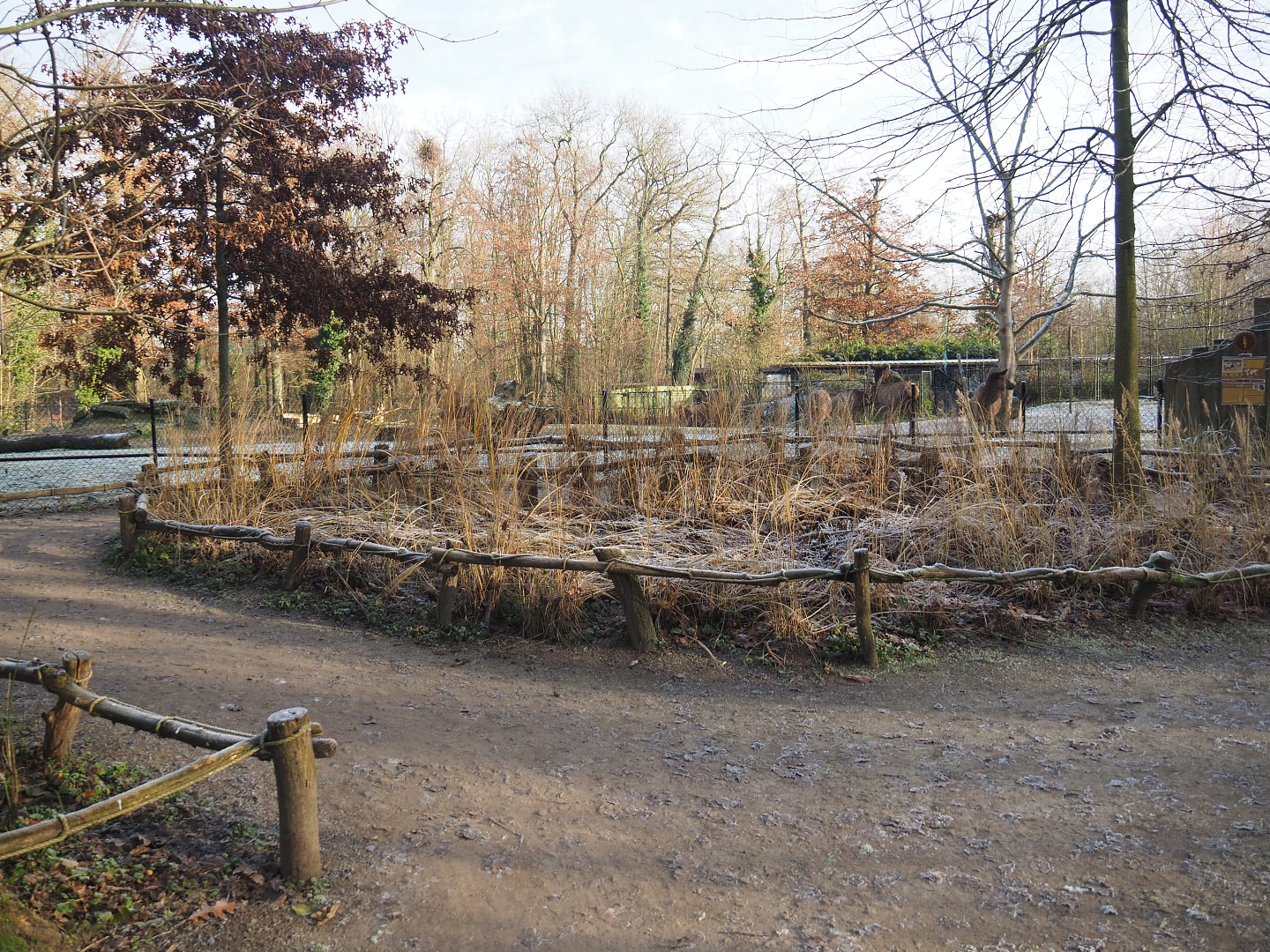 Prairie exhibit viewing area, 2021-12-22