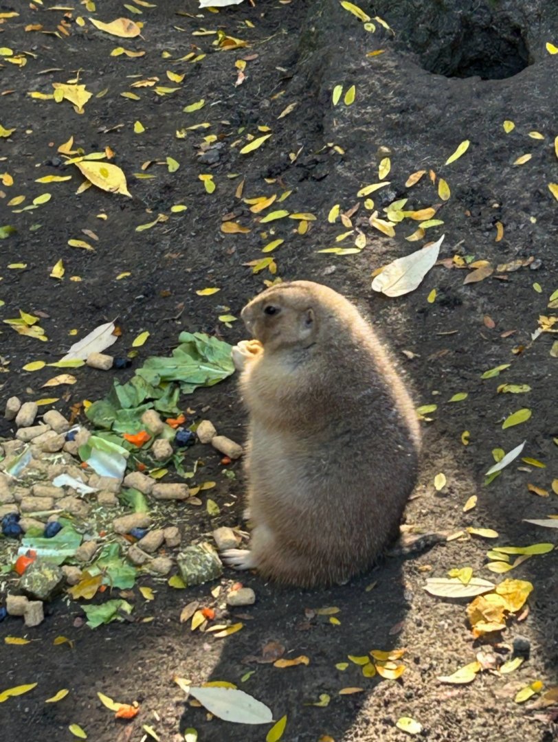 Prairie Feast (10/19/24)