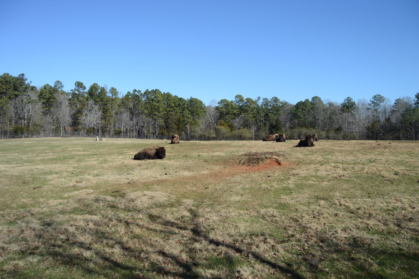 Prairie in the Winter