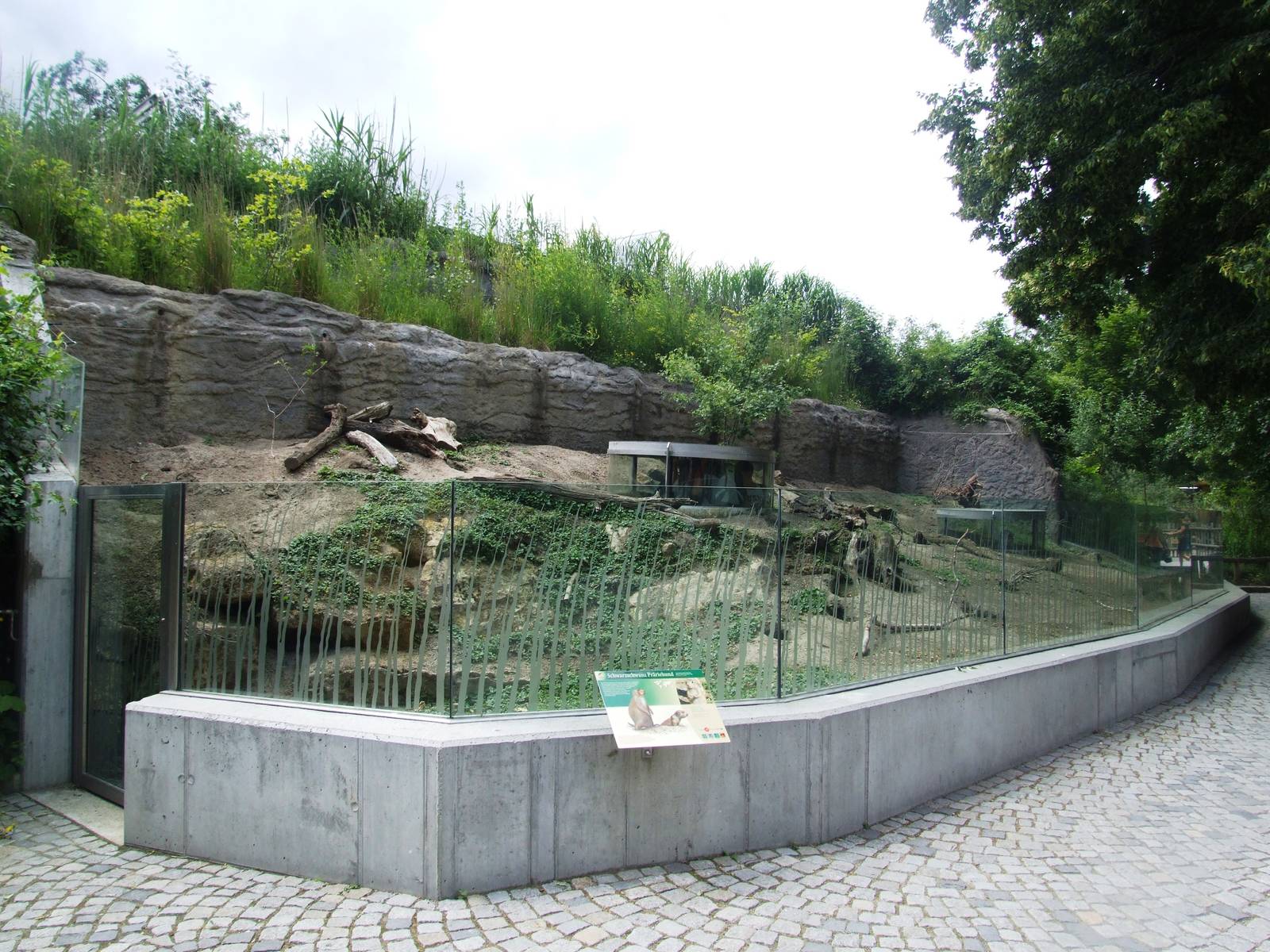 Prairie Marmot Enclosure at Vienna, 14/06/13