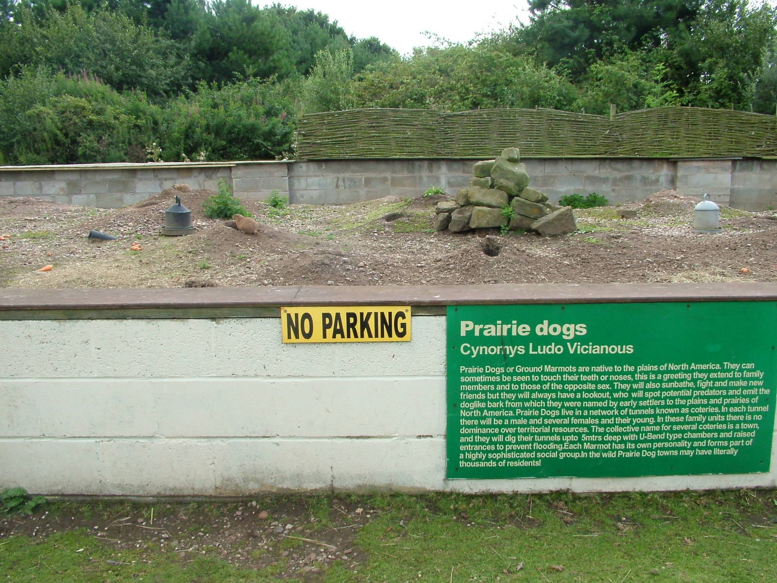 Prairie marmot enclosure at Wetlands WP 02/08/09