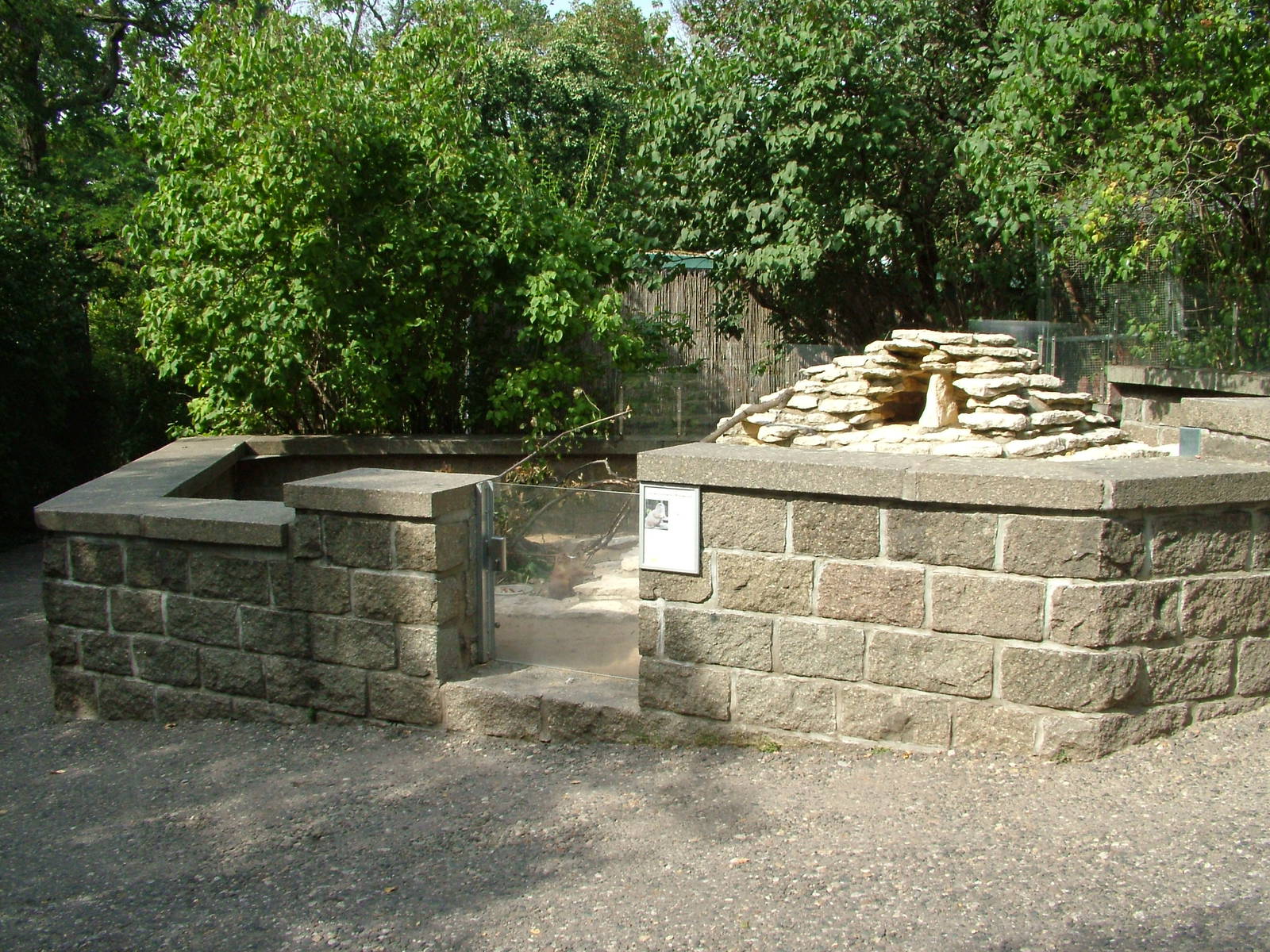 Prairie Marmot Exhibit at Halle, 04/09/11