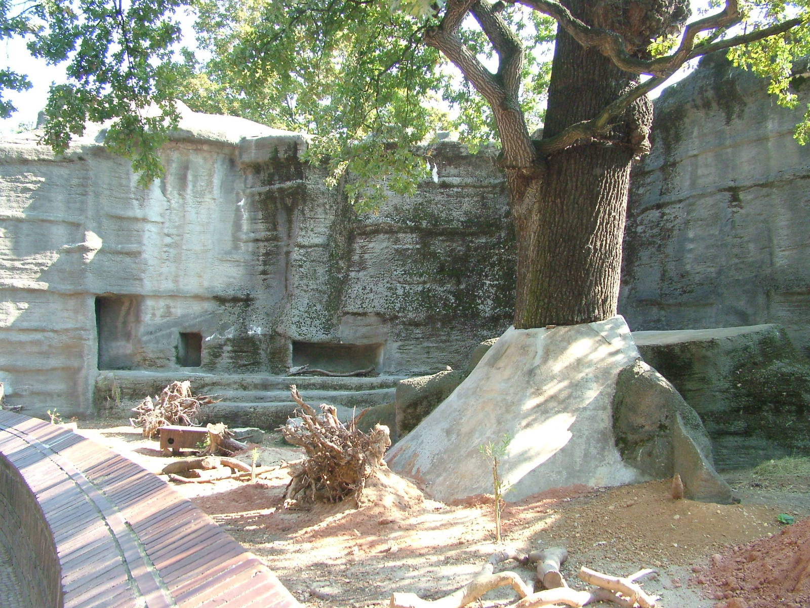 Prairie Marmot Exhibit at Leipzig, 02/09/11