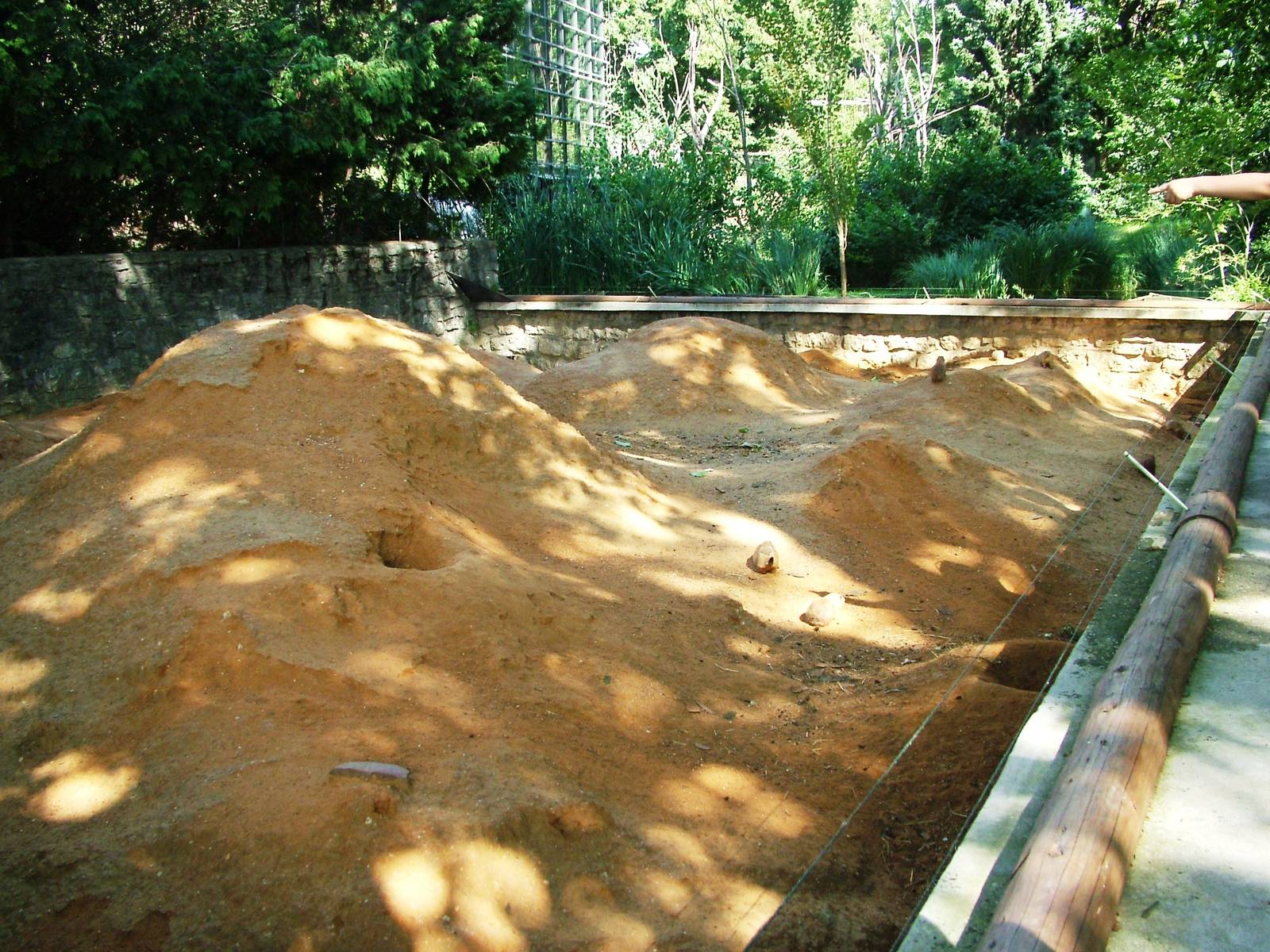 Prairie Marmot Exhibit at Prague, 25/08/12