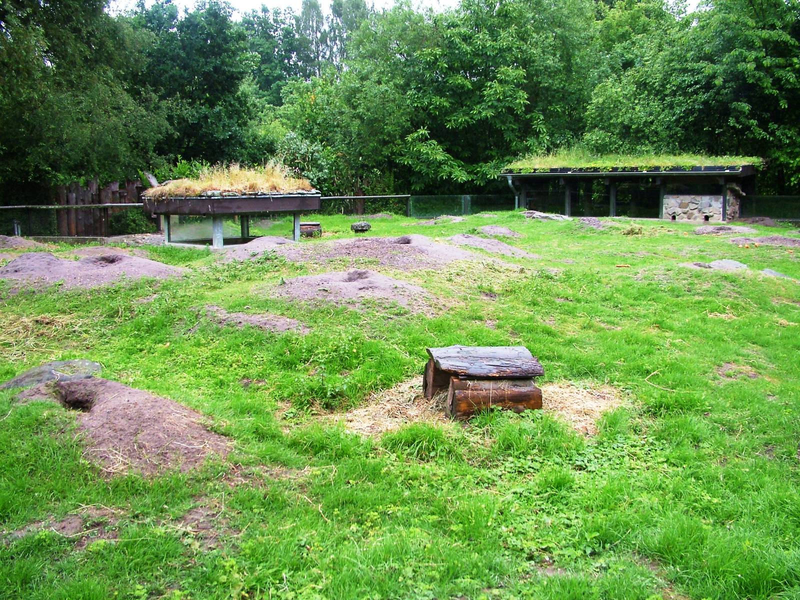Prairie Marmot Exhibit at Rheine, 03/06/12