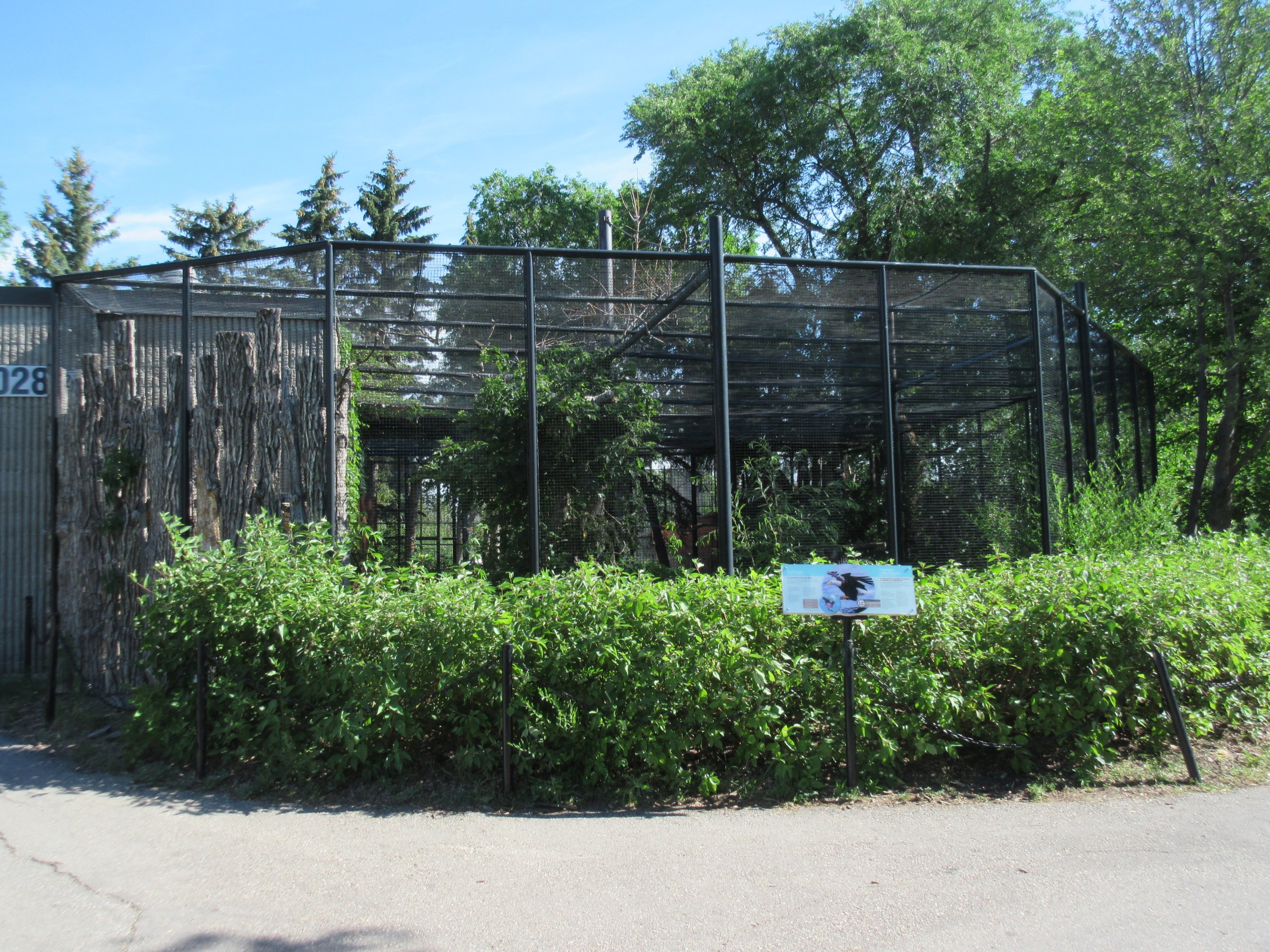 Prairie Outpost - Bald Eagle Exhibit