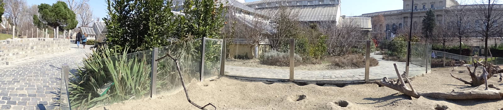 Prairiedog enclosure