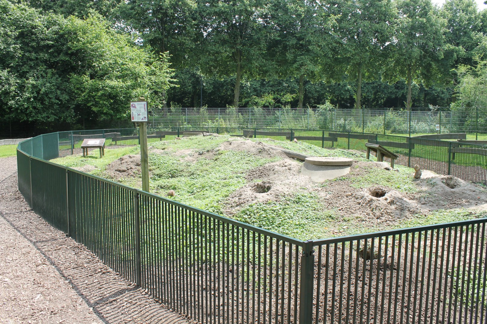 Prairiedog-enclosure