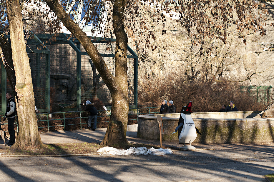 Prarie dog exhibit at Berlin Tierpark