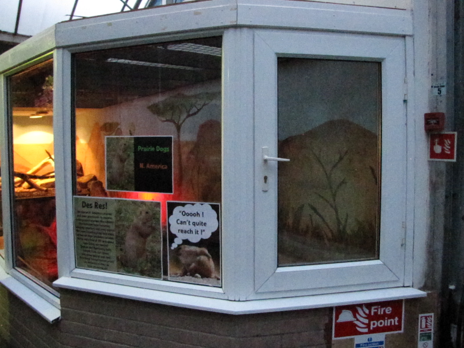 Prarie Dogs enclosure