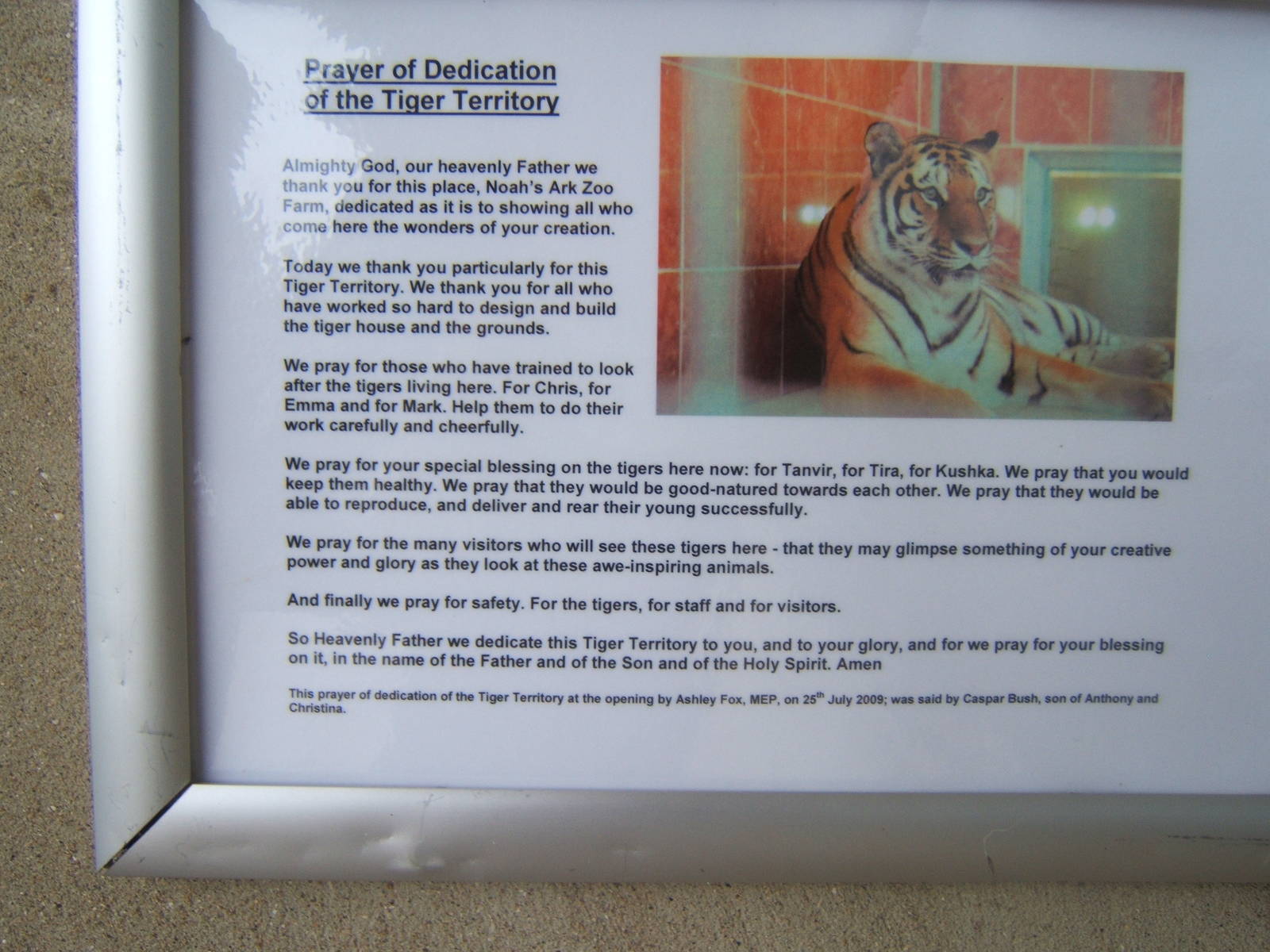 Prayer for the Big cat complex