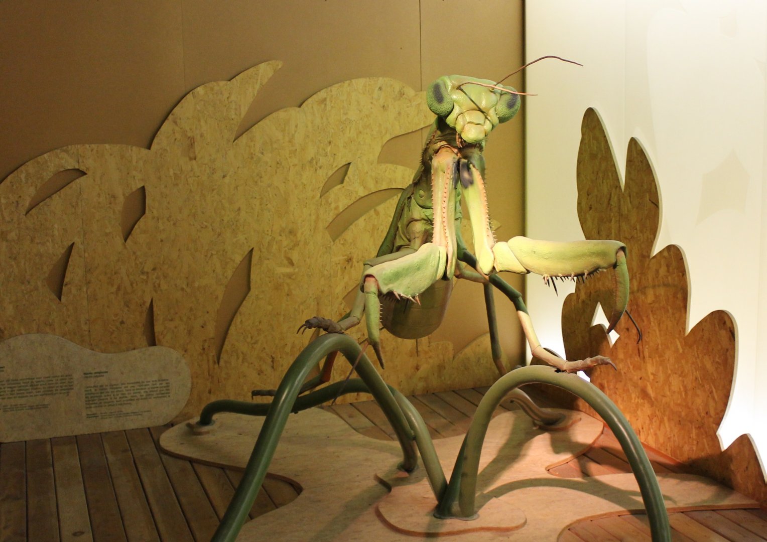 Praying mantis-model