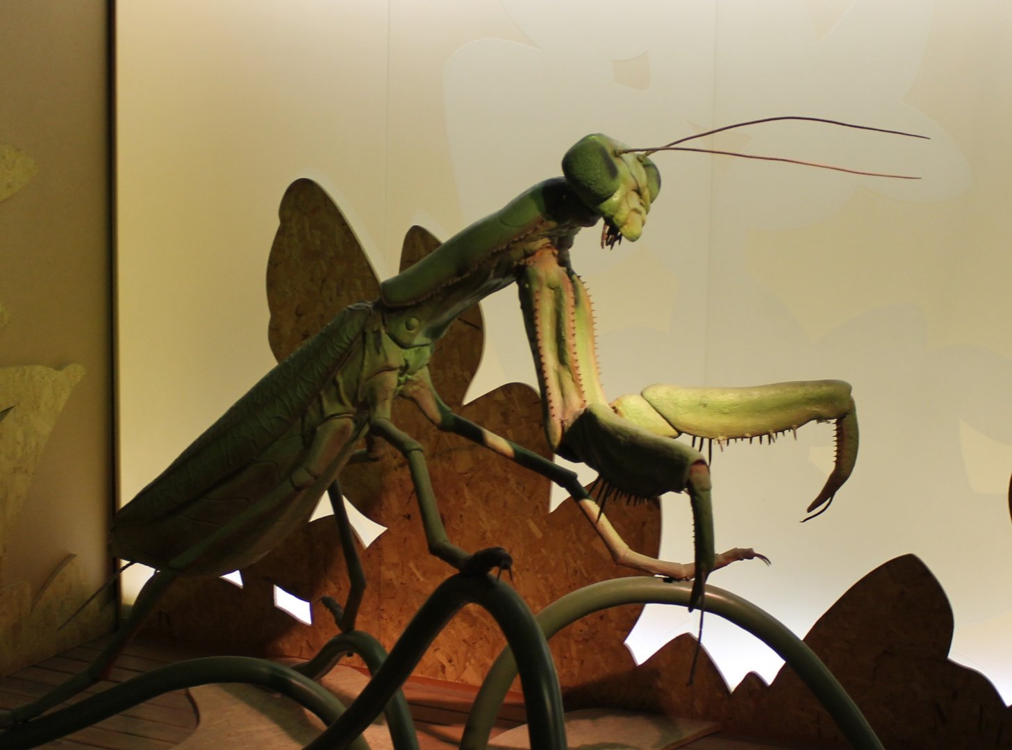 Praying mantis-model