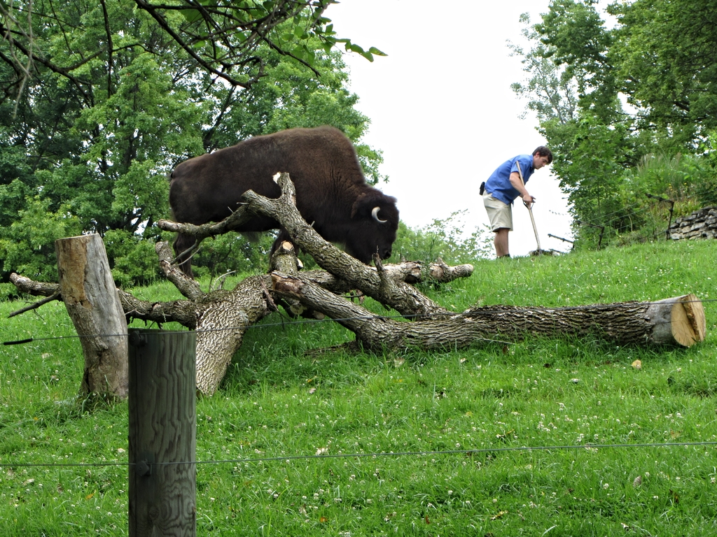 Precarious Position?