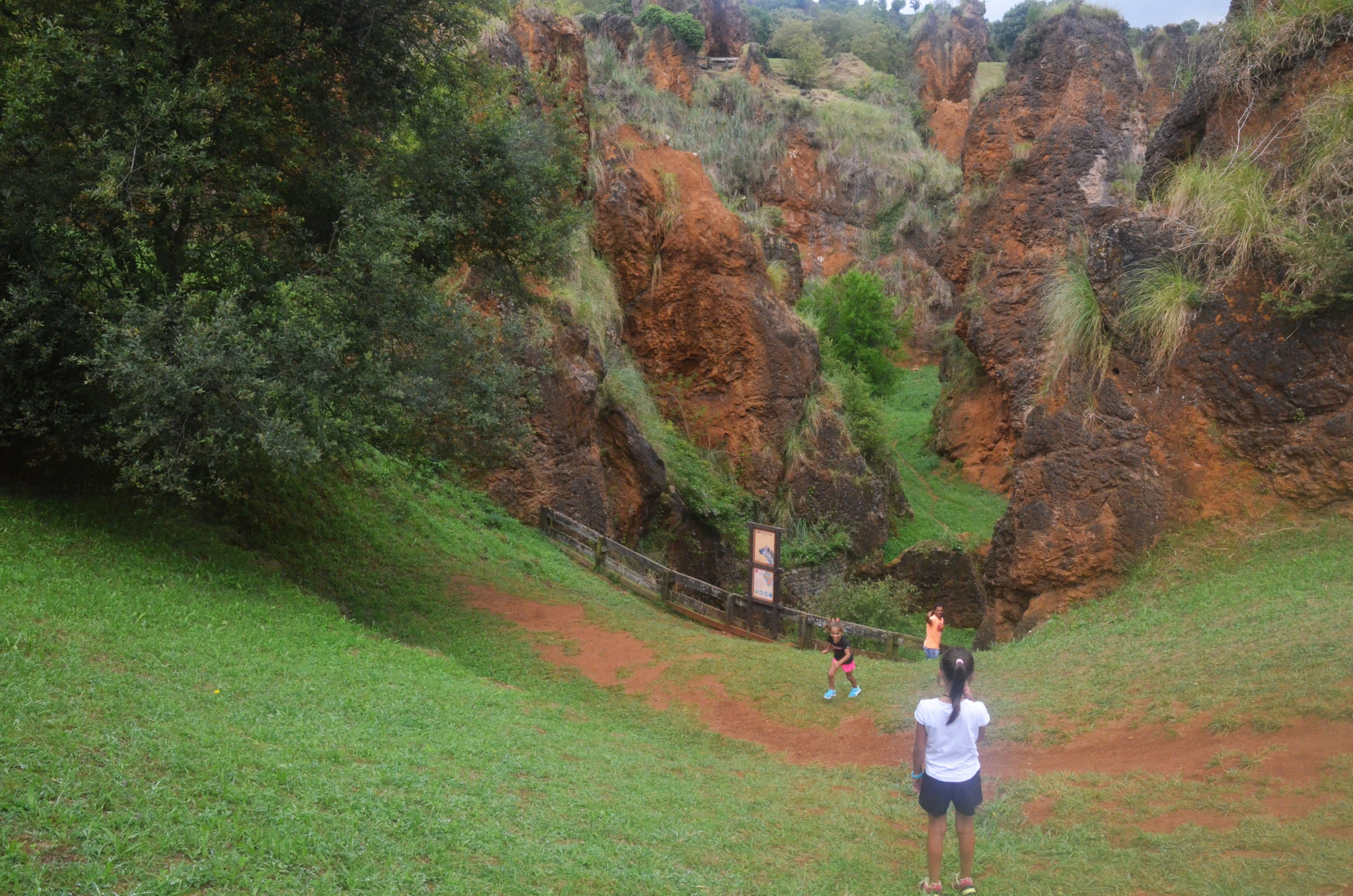 Precipitous Hyaena Viewing at Cabarceno, 08/07/17