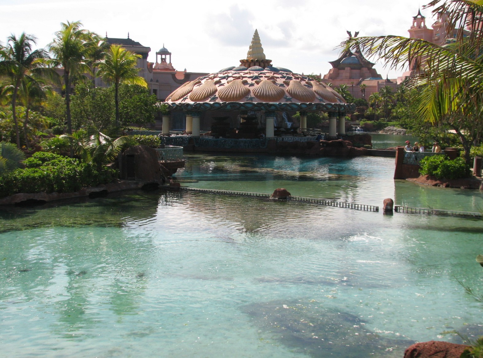 Predator Lagoon - Great Hammerhead Area of Lagoon