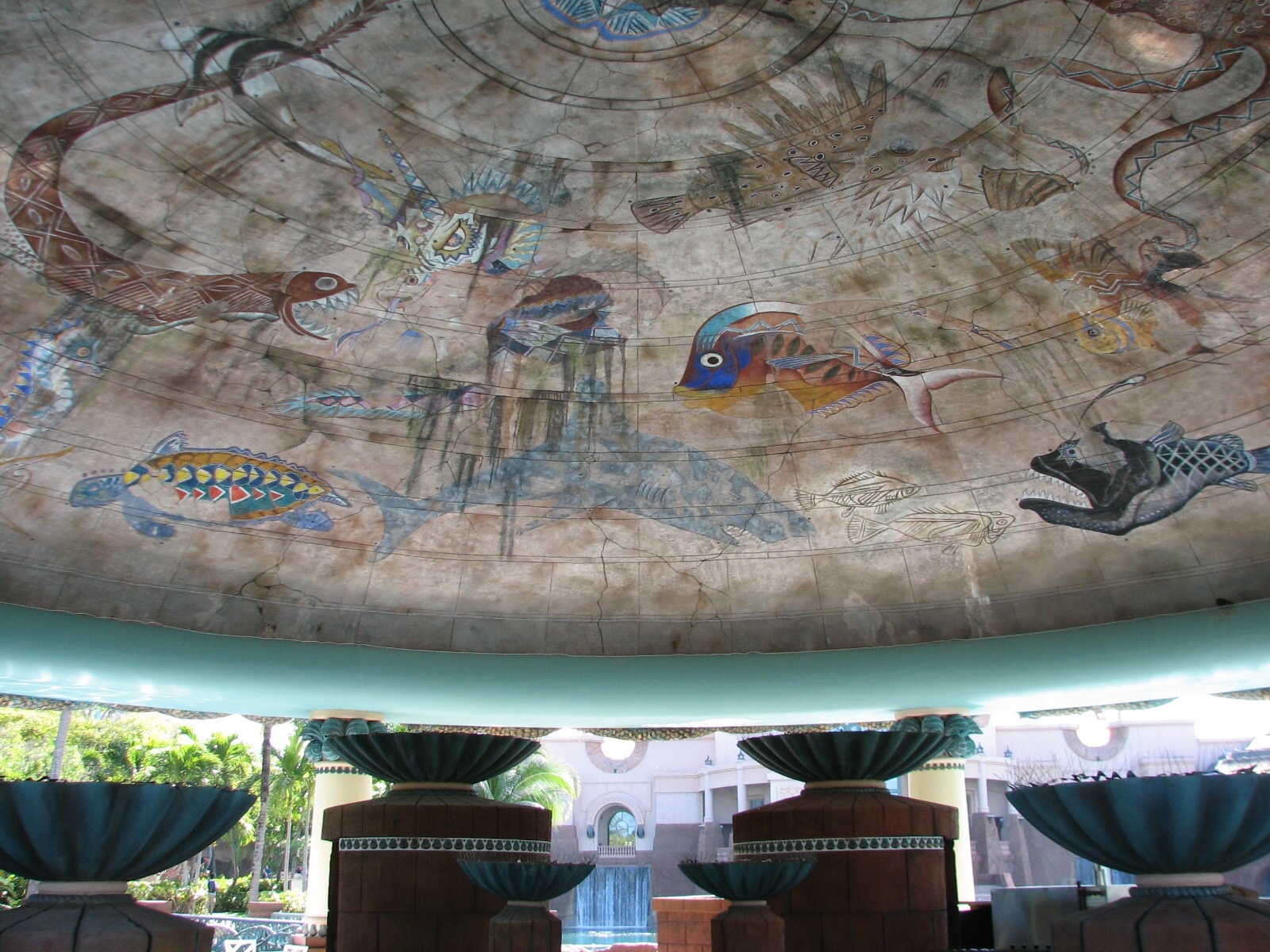 Predator Lagoon - Lagoon Bar Ceiling