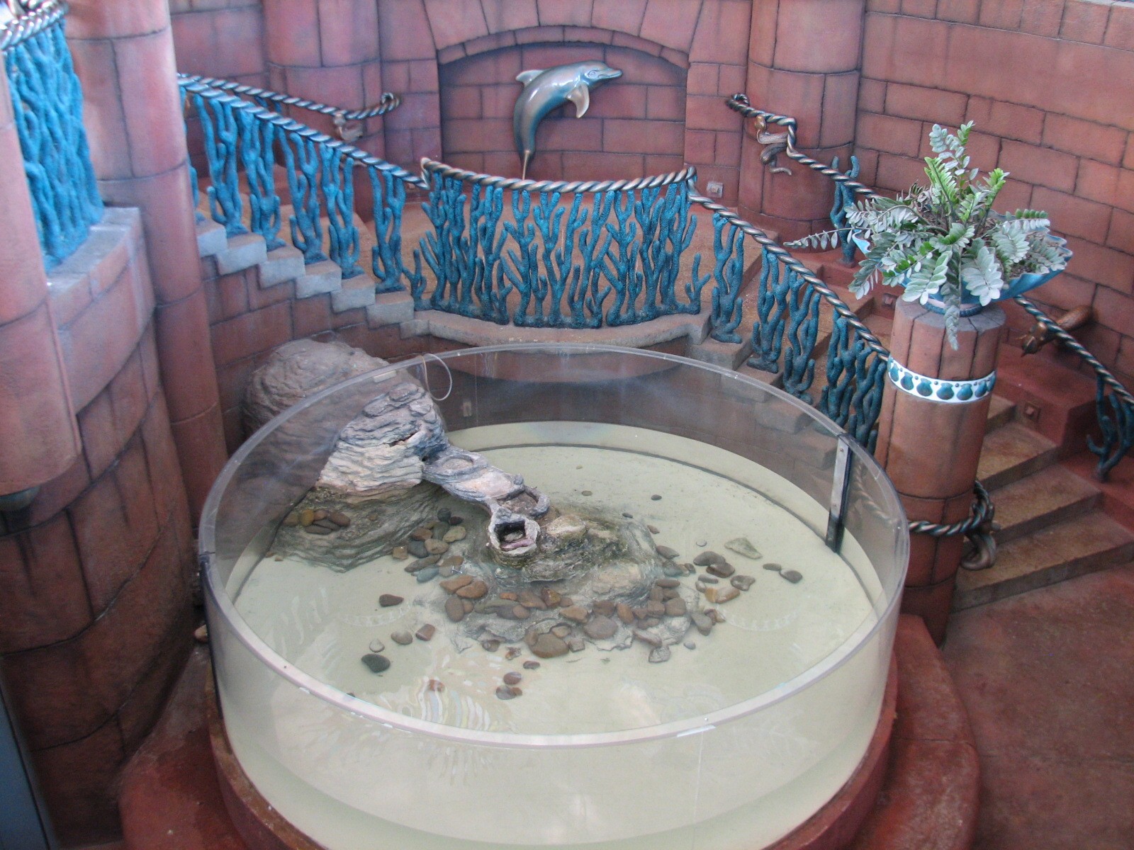 Predator Lagoon - Lagoon Bar Entry to Underwater Viewing