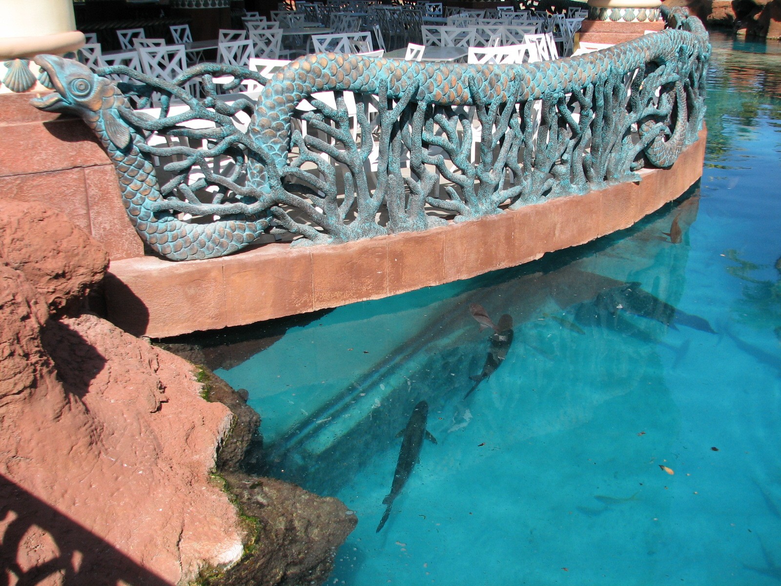 Predator Lagoon - Lagoon Bar