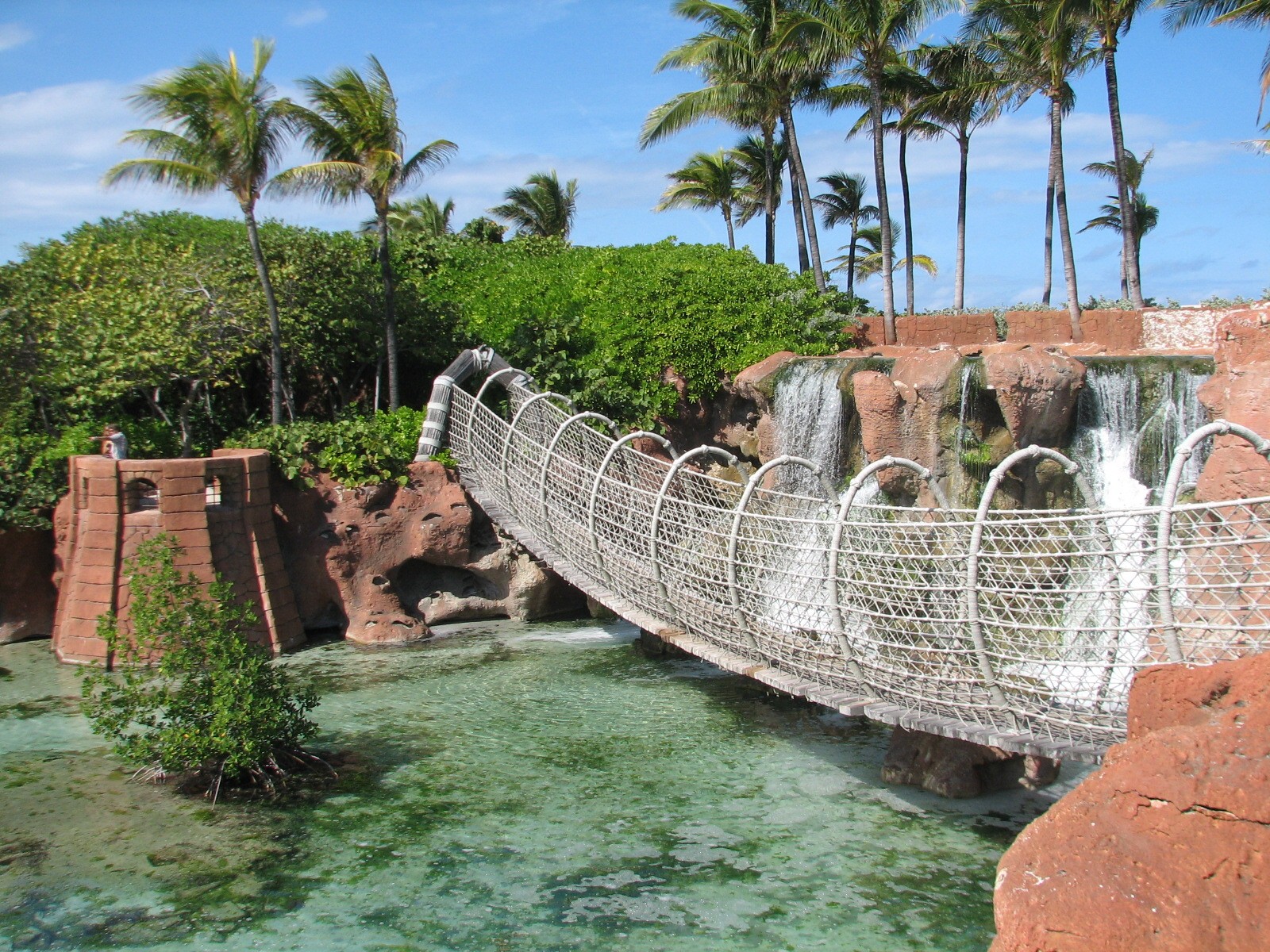 Predator Lagoon - Suspension Bridge